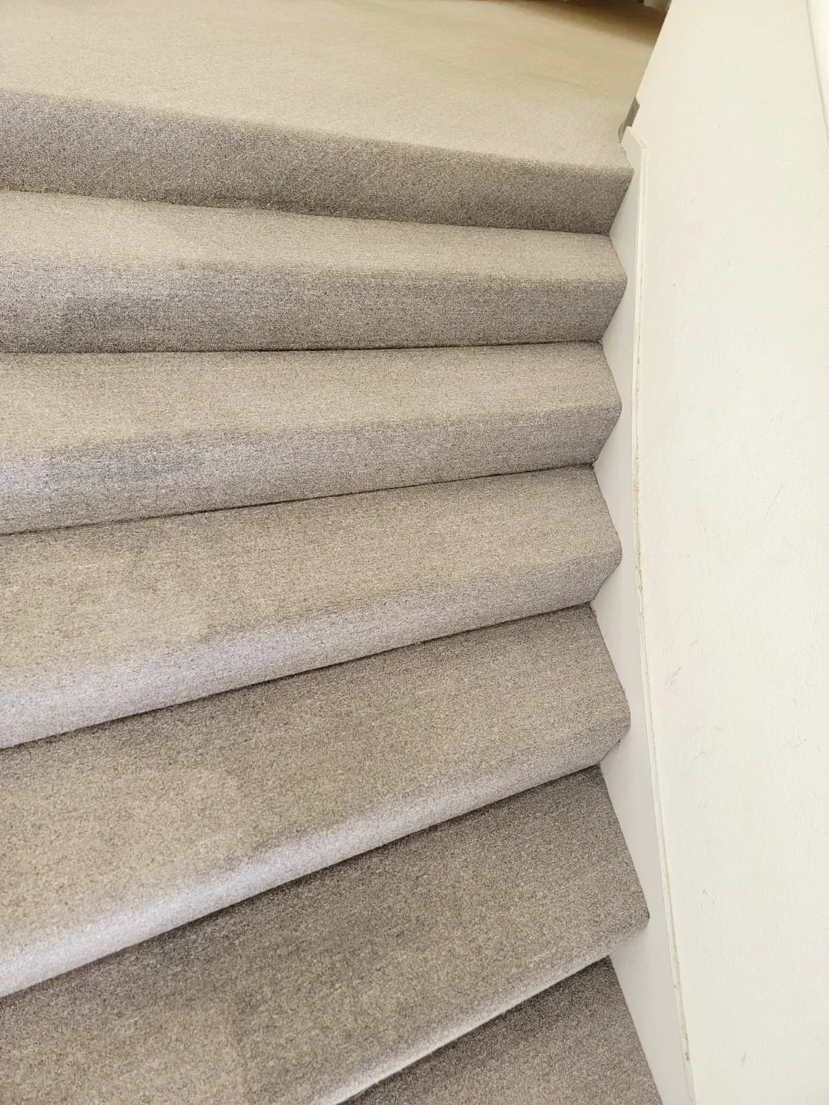 Carpet stairs after professional stain removal and shampoo cleaning in Campbelltown